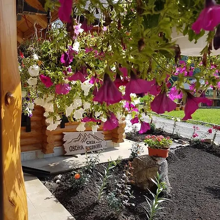 Casa Obcina Bucovinei Penzion Fundu Moldovei